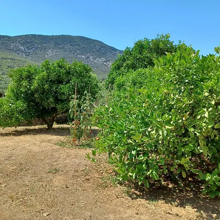 Lu * Нерезине