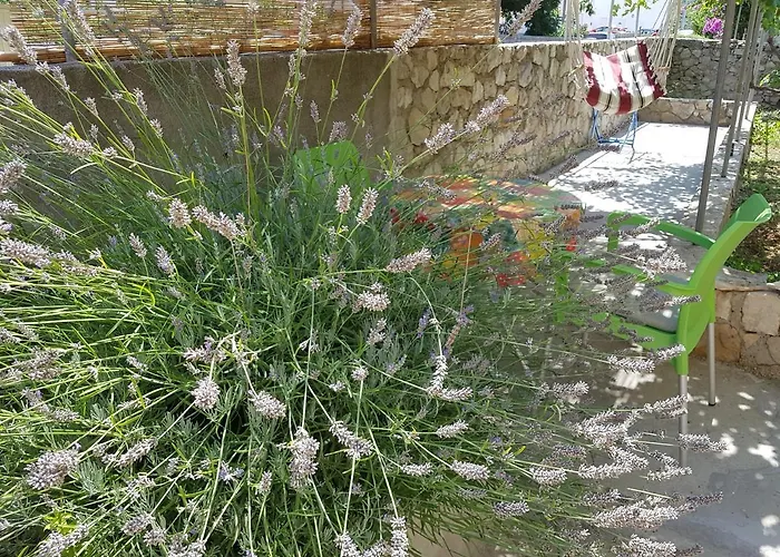 Lu Διαμέρισμα Nerezine