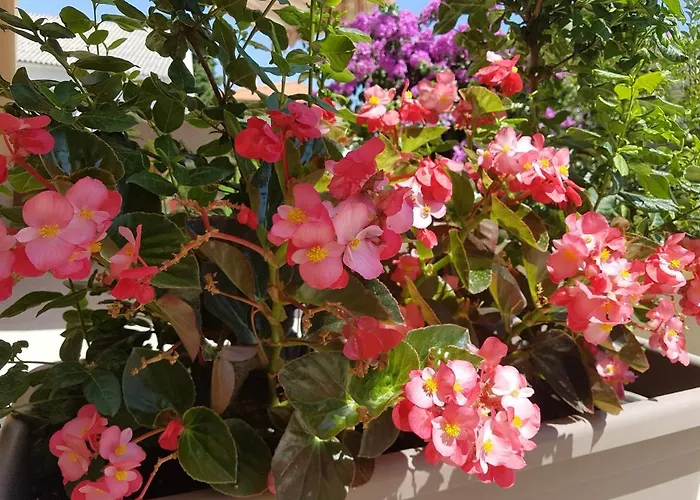 Lu Διαμέρισμα Nerezine