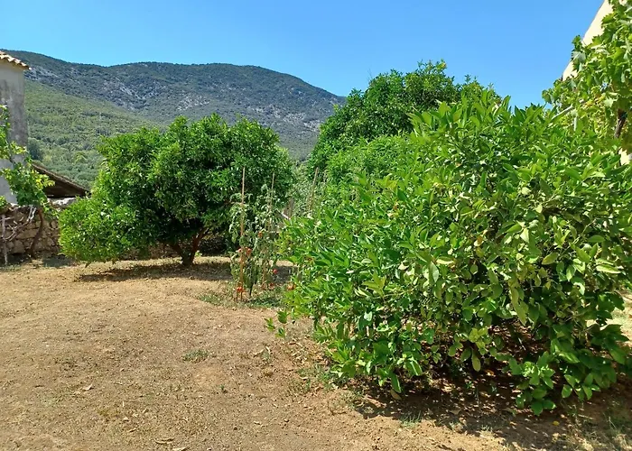 Lu * Нерезине